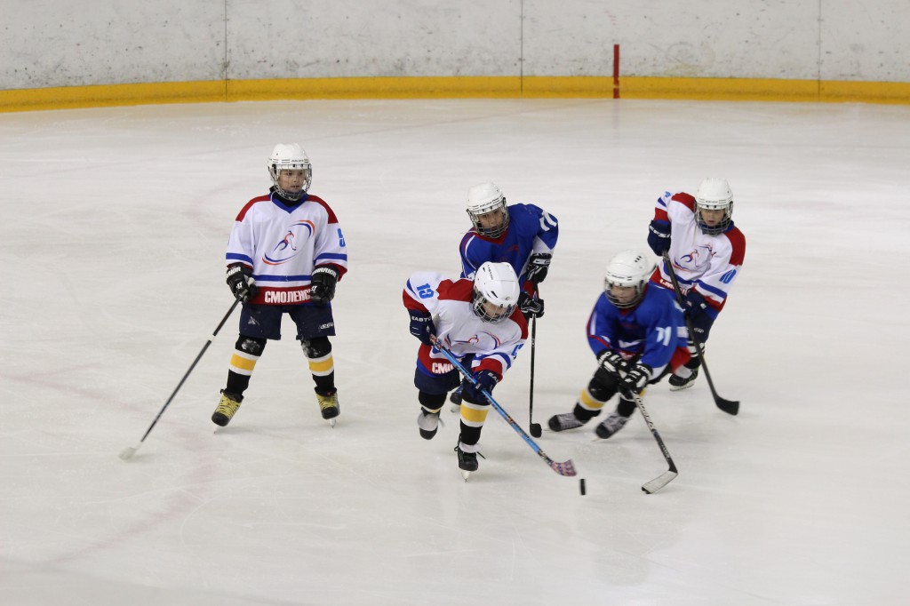 Хоккейная команда города Смоленска (2002 г.р.)